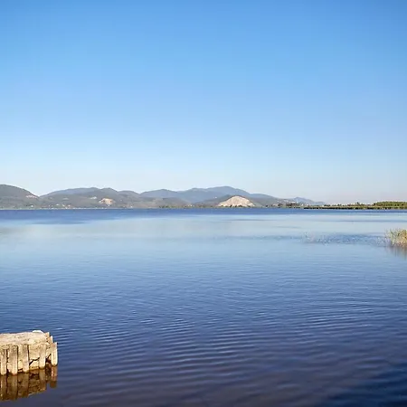 Nice In Torre Del Lago With 3 Bedrooms And Wifi Holiday home